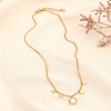 Collier acier inoxydable 5 pampilles trèfle nacre 0123607 doré